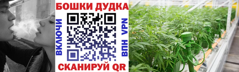 МАРИХУАНА THC 21%  Купить закладки  Спас-Деменск 